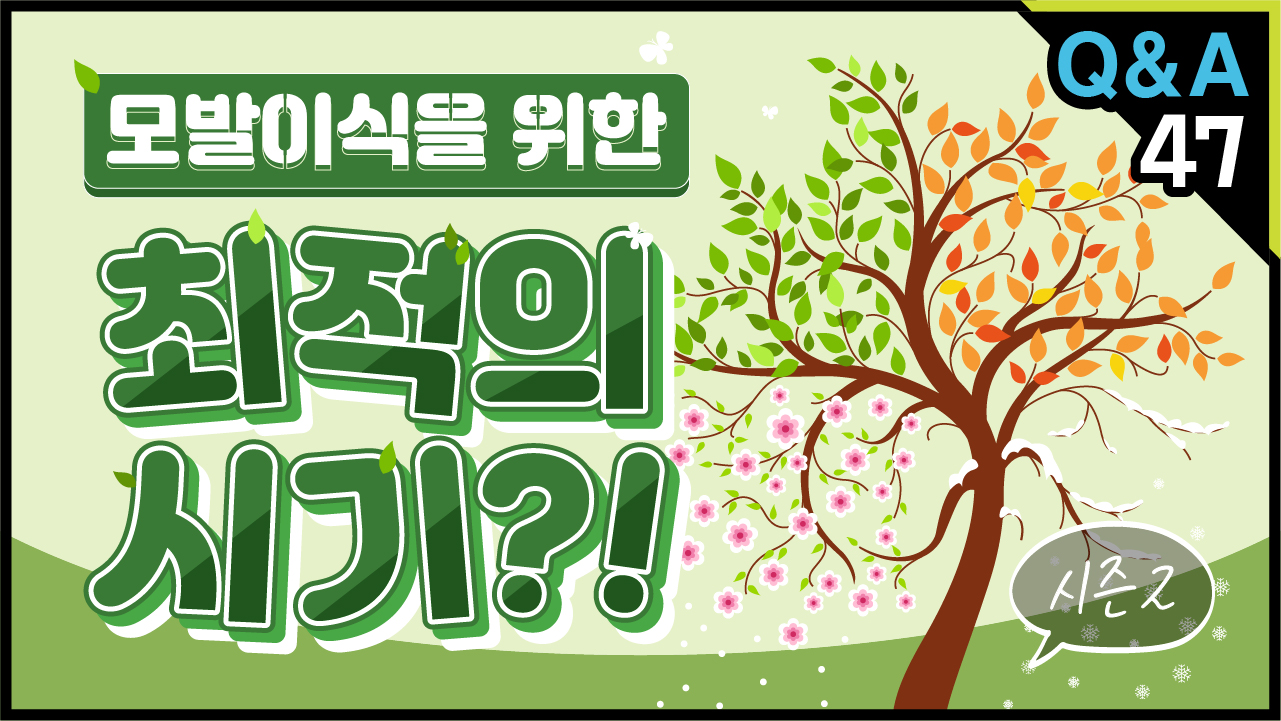 영상 썸네일